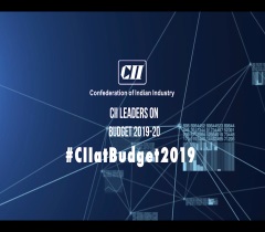 Views of CII Leaders on Budget 2019 - 20